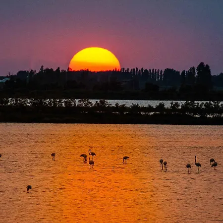 In 54390 Rosolina Mare